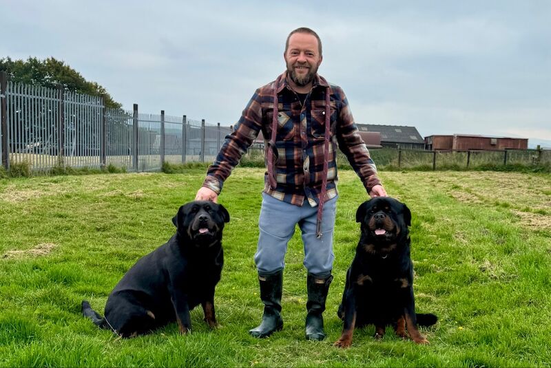 George Georgiev - Private Seller on Rottweiler Owners - Image 6